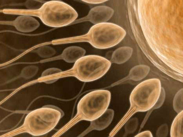 26 Women pregnant With Wrong Sperm 26 Women pregnant With Wrong Sperm