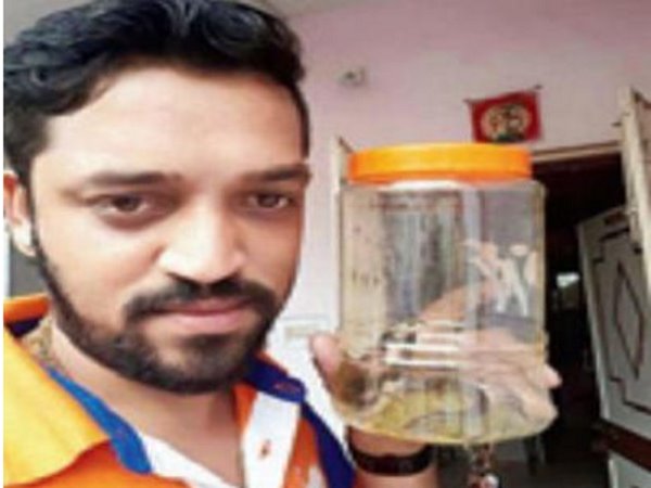 selfie with cobra selfie with cobra