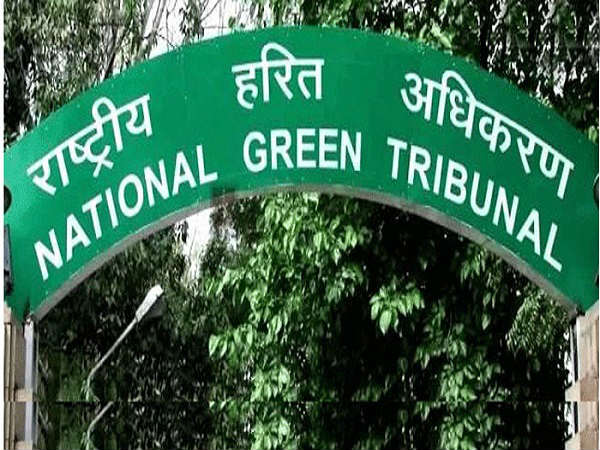 'स्वास्थ्य के लिए हानिकारक' जैसी चेतावनी क्यों नहीं: NGT