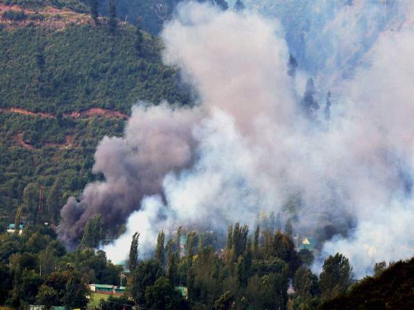 3. आर्मी बेस के पास घास और झाड़ियां