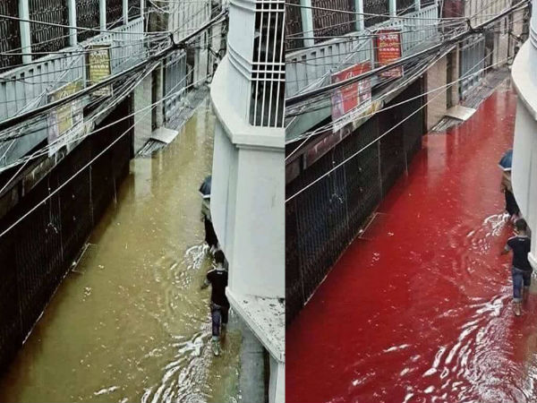 bangladesh bangladesh