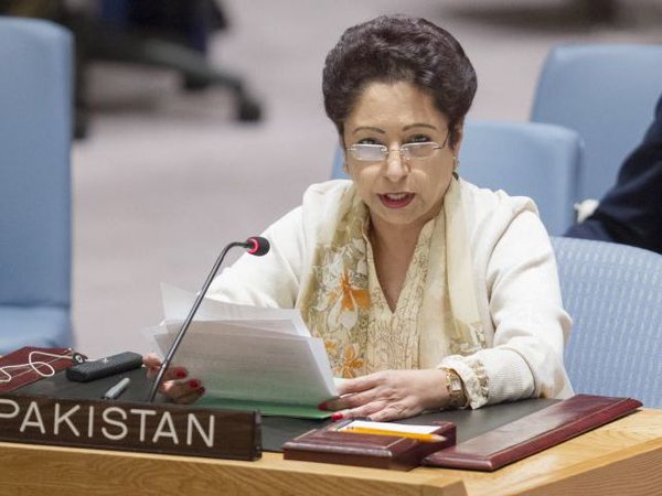 maliha-lodhi-pakistan-india-sushma.jpg maliha-lodhi-pakistan-india-sushma.jpg