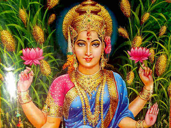 laxmi laxmi
