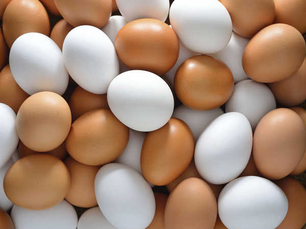 फेंकने से पहले जरूरी है अंडे का जल परीक्षण