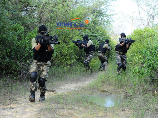 कमांडो फोर्सेज
