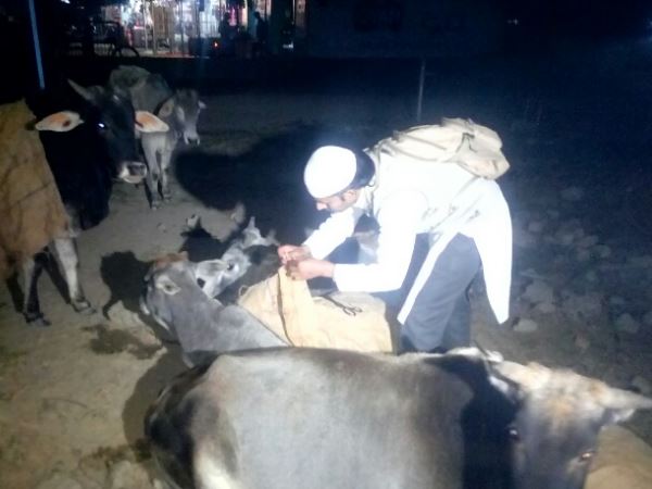 बचपन से ही जनवरों से रहा है खास लगाव