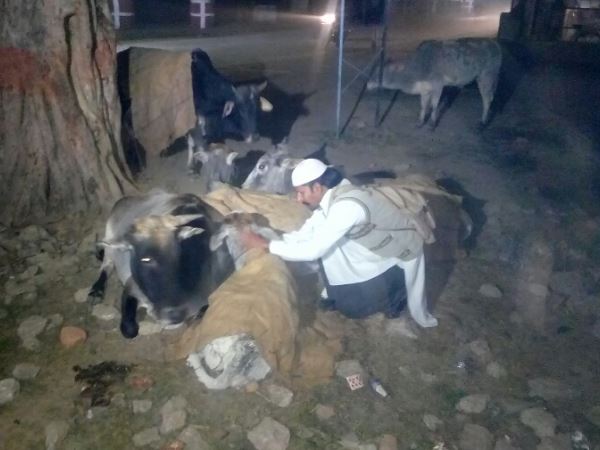 पढ़-लिख नहीं सके, बस प्यार को जानते हैं सलमान