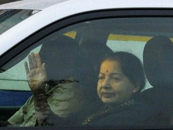 amma1 amma1