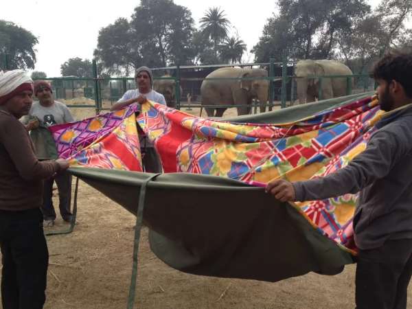 गर्म तासीर वाला भोजन