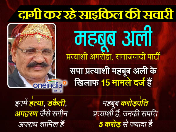 सपा उम्मीदवार महबूब अली पर दर्ज हैं 15 मामले