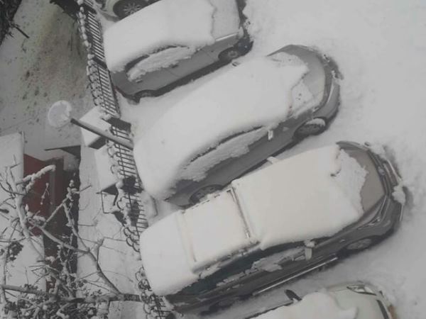 snow7 दिल्ली में बारिश तो पहाड़ों पर हुई भारी बर्फबारी, देखिए शानदार तस्वीरें snow7 दिल्ली में बारिश तो पहाड़ों पर हुई भारी बर्फबारी, देखिए शानदार तस्वीरें