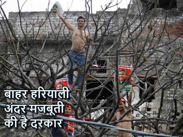 हरियाली भी और मजबूती भी