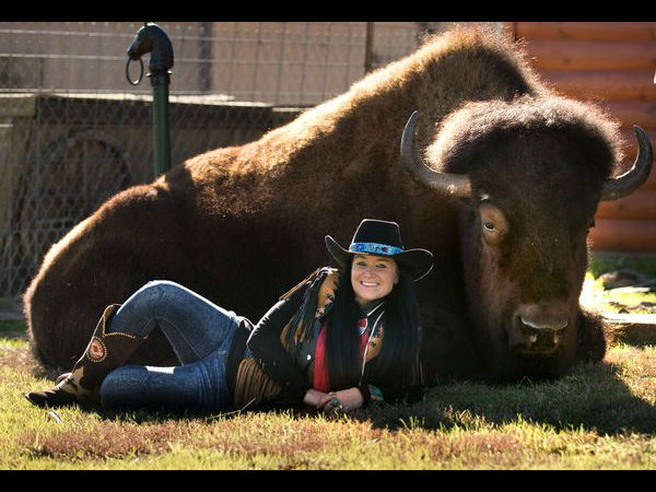 OMG! 1150 kg buffalo who lives in owners bedroom and watch action movies and eat breakfast at table OMG! 1150 kg buffalo who lives in owners bedroom and watch action movies and eat breakfast at table