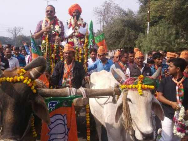 नामांकन कराने के लिए बैलगाड़ी से पहुंचे भाजपा प्रत्याशी, देखिए तस्वीर नामांकन कराने के लिए बैलगाड़ी से पहुंचे भाजपा प्रत्याशी, देखिए तस्वीर