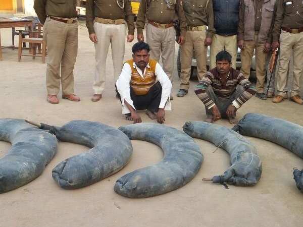 ऐसी जगह छुपा रखी थी 1000 लीटर शराब, पुलिस हुई हैरान ऐसी जगह छुपा रखी थी 1000 लीटर शराब, पुलिस हुई हैरान