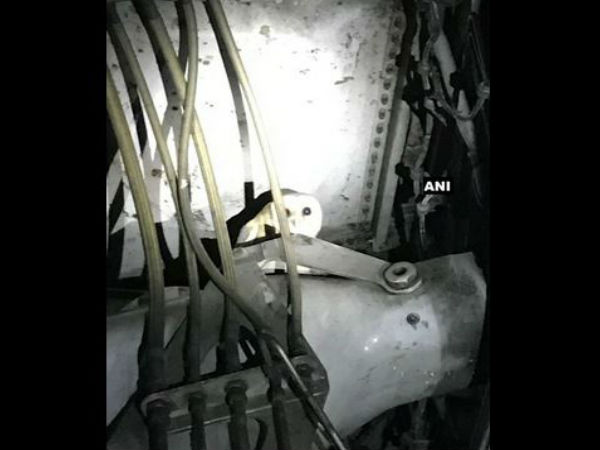 Live owl found in landing gear of United Airlines aircraft after landing, safely removed by the maintenance team of the airline Live owl found in landing gear of United Airlines aircraft after landing, safely removed by the maintenance team of the airline