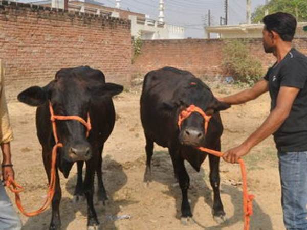 अगर आप जाना चाहे तो