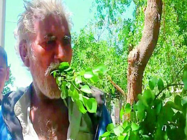 Pakistani man survives on leaves for 25 years, hale and hearty Pakistani man survives on leaves for 25 years, hale and hearty