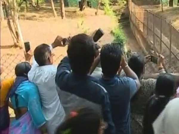 एक लीडर ने किया इनका नामकरण