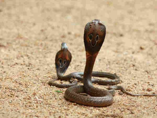 निषिद्ध भूमि