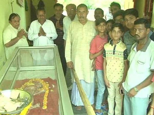 लोगों ने की पूजा, मांगें मन्नत