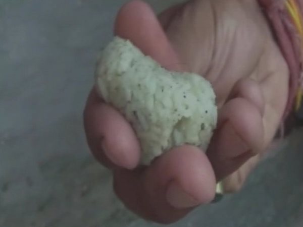 इस चावल से कैंसर होता है