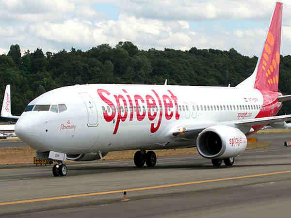 spicejet spicejet