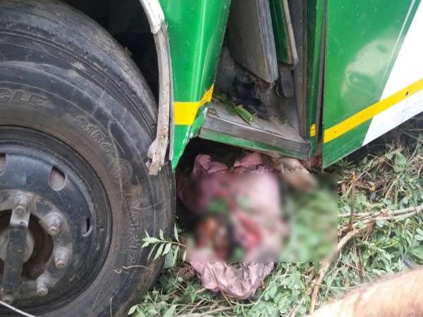 ड्राइवर मान लेता यात्रियों की बात तो नहीं होता कांगड़ा बस हादसा ड्राइवर मान लेता यात्रियों की बात तो नहीं होता कांगड़ा बस हादसा