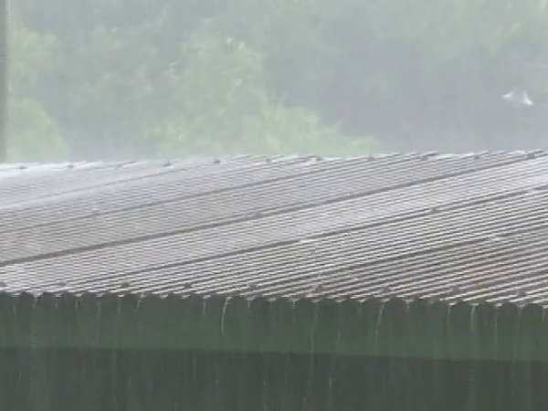 rain rain