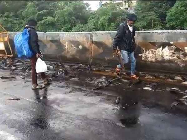 लाश पड़ी रही, लोग मछलियां बटोरते रहे