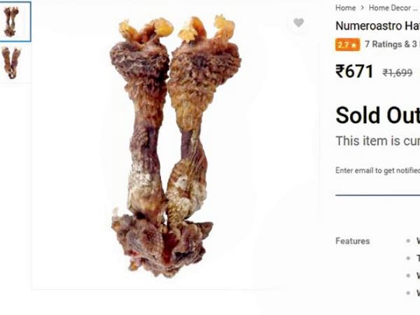 लिजार्ड का सूखा पेनिस, पूजा सामग्री में