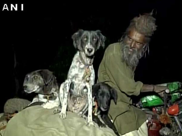 कुत्ते भी है भक्त