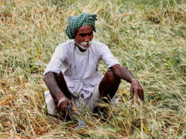 farmer farmer