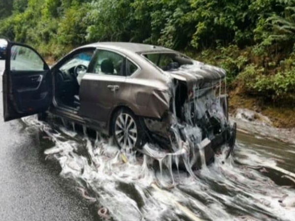 Video: when a truck hauling eels overturned and turned the coastal road into a gooey mess Video: when a truck hauling eels overturned and turned the coastal road into a gooey mess