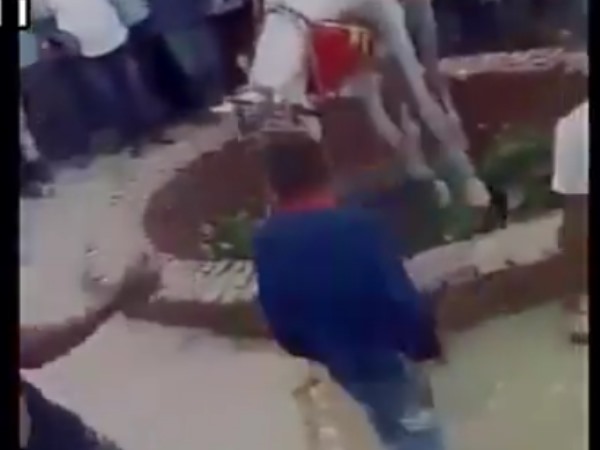 VIDEO: Rescue operation of a horse that fell into well alongwith the bridegroom during a wedding ritual in UP. VIDEO: Rescue operation of a horse that fell into well alongwith the bridegroom during a wedding ritual in UP.
