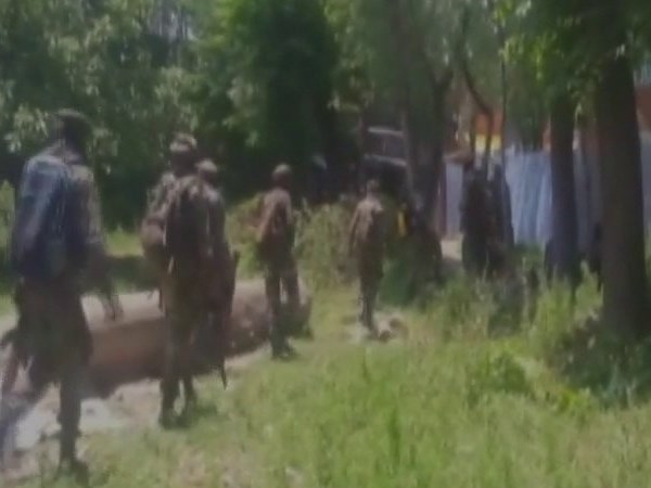 hizbul hizbul