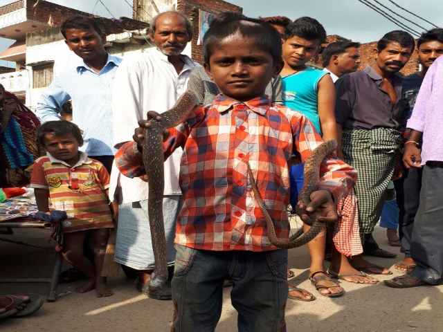 PICs: जहरीले सांप पकड़ना है इस बनारस के बच्चे का खेल! PICs: जहरीले सांप पकड़ना है इस बनारस के बच्चे का खेल!