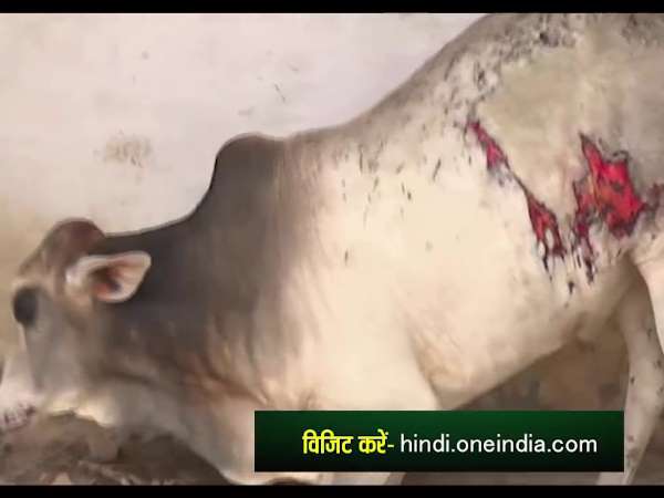 पुलिस-प्रशासन पर लगा सवालिया निशाना