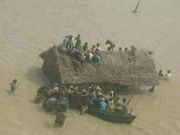 Flood in Bihar, See Pictures and Video Flood in Bihar, See Pictures and Video