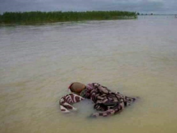 Flood in Bihar, See Pictures and Video Flood in Bihar, See Pictures and Video