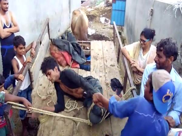 VIDEO: बैल चुराने आया चोर रस्सी से बांधकर रात भर पीटा गया VIDEO: बैल चुराने आया चोर रस्सी से बांधकर रात भर पीटा गया