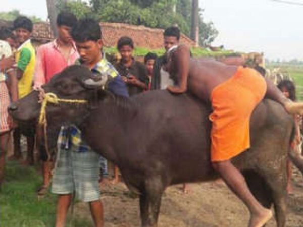 PICS: महिला का थूक चाटा, पिटा और भैंस की सवारी की फिर जुर्माना भरा... PICS: महिला का थूक चाटा, पिटा और भैंस की सवारी की फिर जुर्माना भरा...