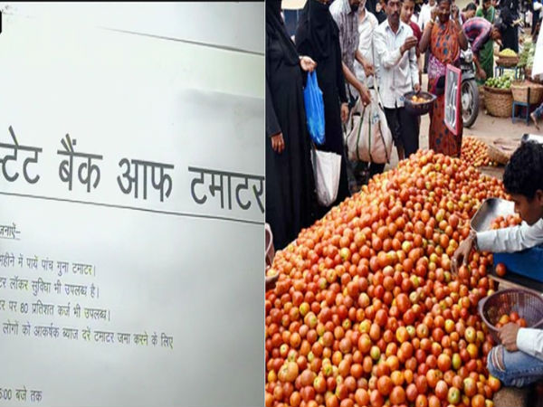 Congress opens ‘State Bank of Tomato’ in Lucknow to protest against rising prices Congress opens ‘State Bank of Tomato’ in Lucknow to protest against rising prices