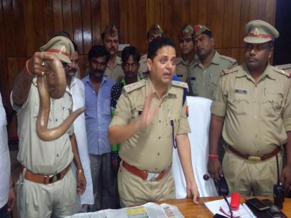 सेक्स पावर बढ़ाने की रामबाण दवा