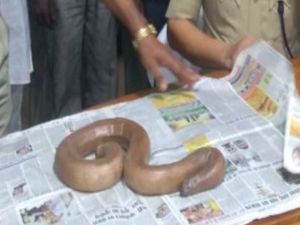 मांस खाने से लोग रहते हैं हमेशा जवान