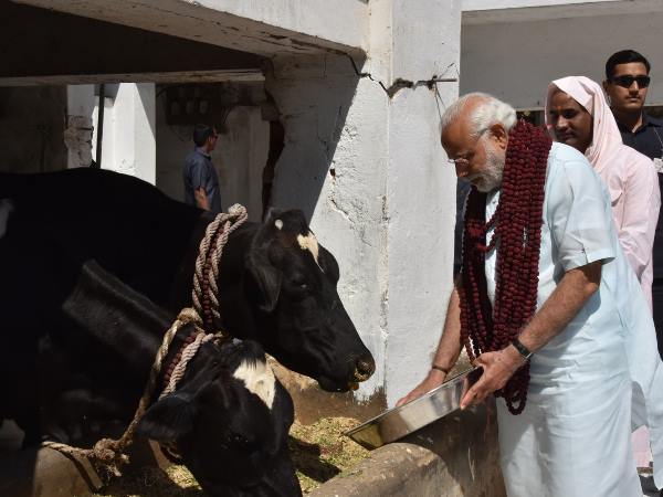 ये है वजह...