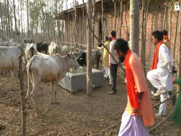 पुराने कानून में किए गए थे ये प्रावधान