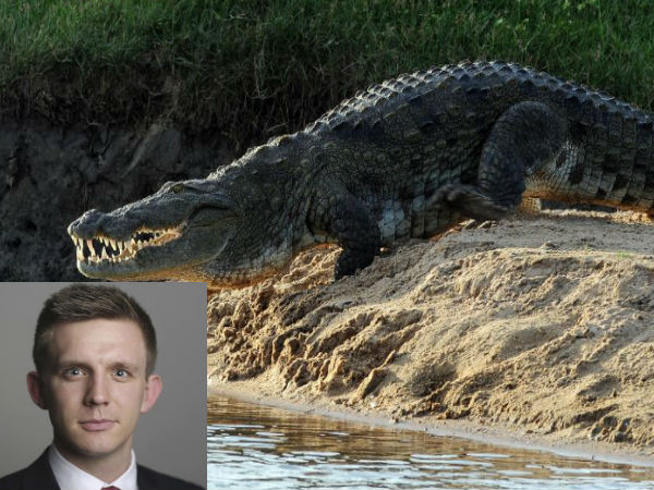 British journalist killed in suspected crocodile attack in Sri Lanka British journalist killed in suspected crocodile attack in Sri Lanka