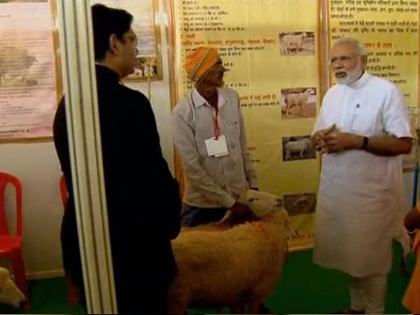 PM Narendra Modi Varanasi Visit Pictures of second day PM Narendra Modi Varanasi Visit Pictures of second day