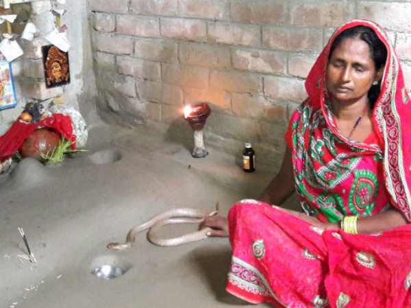 Bihari woman worship snake during navratri Bihari woman worship snake during navratri